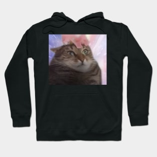 Cat Transcendence Hoodie